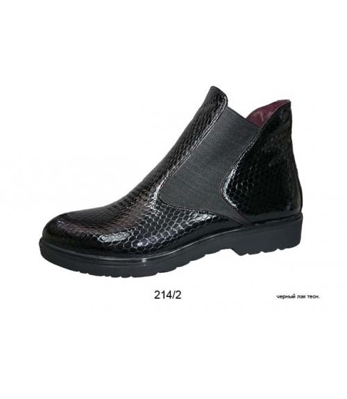 Ботинки женские лаковые - Обувная фабрика «Магнум-Юг»