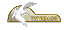 Обувная фабрика «Moregor», г. Москва