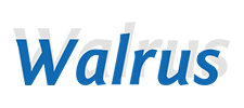 Обувная фабрика «Walrus», г. Ростов-на-Дону